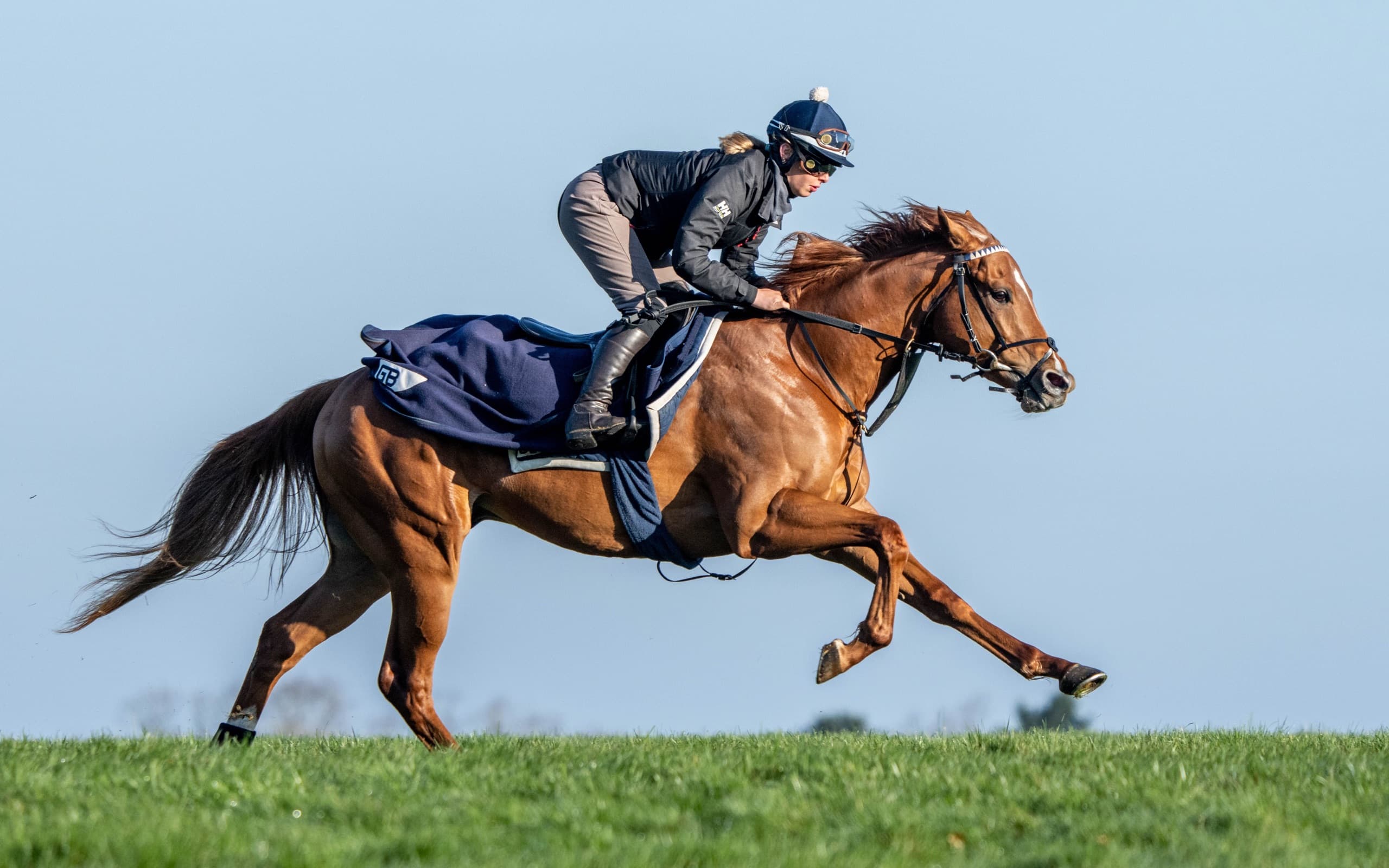 A chestnut horse galloping on Newmarket Heath