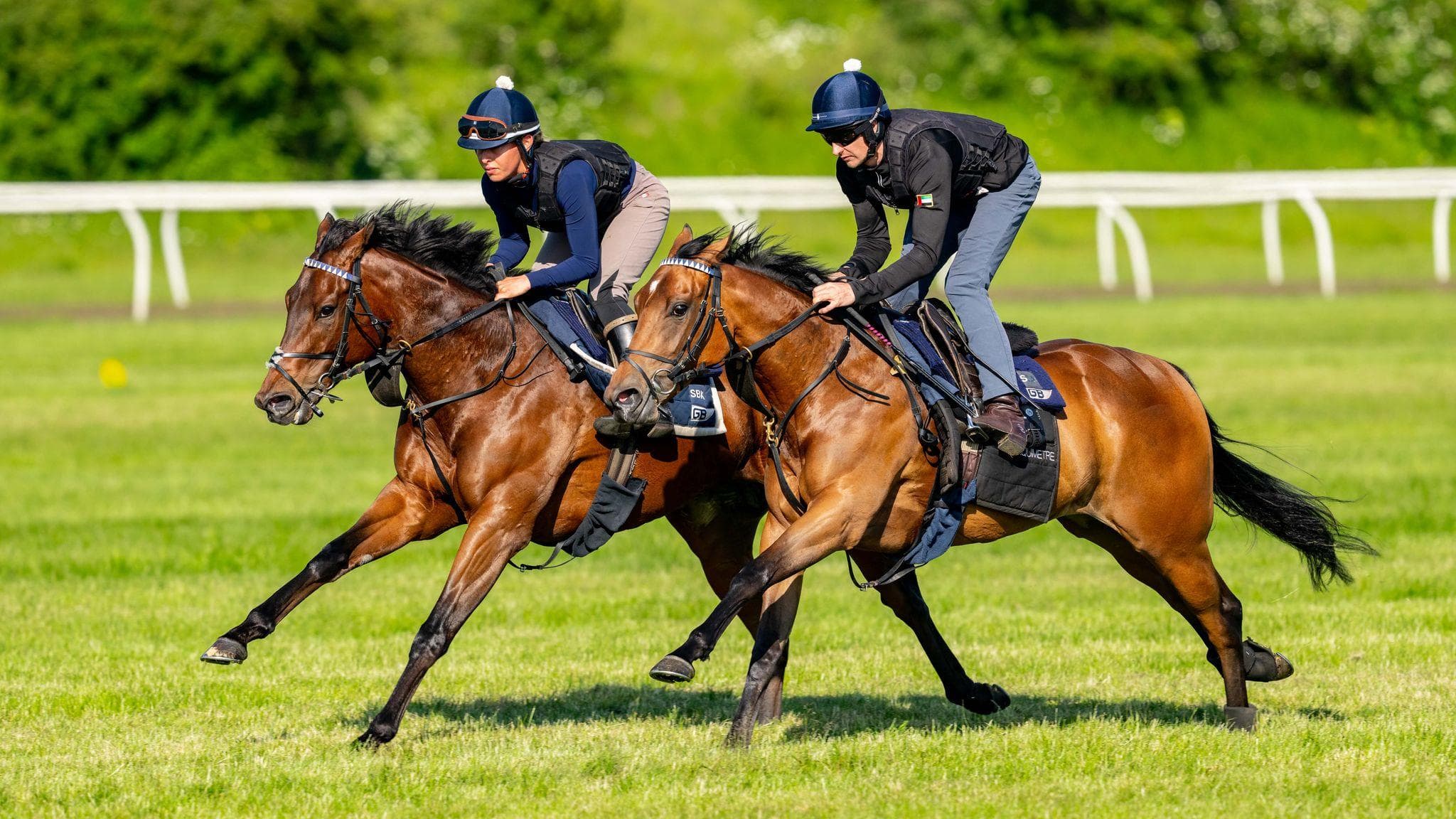 Two horses cantering upsides on the turf gallops