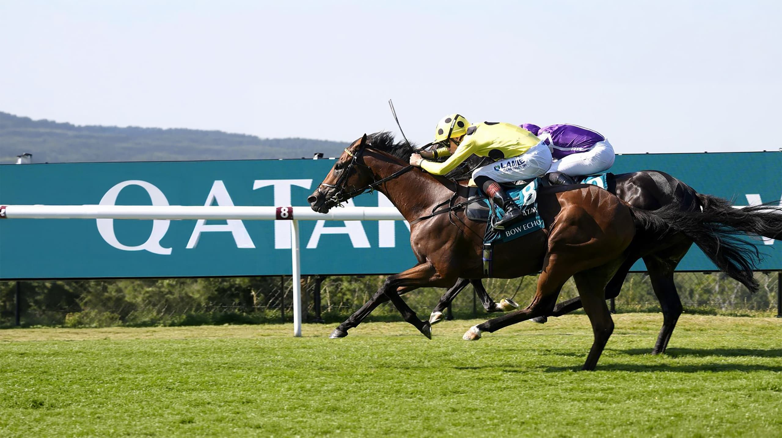Bow Echo winning the St James’s Palace Stakes