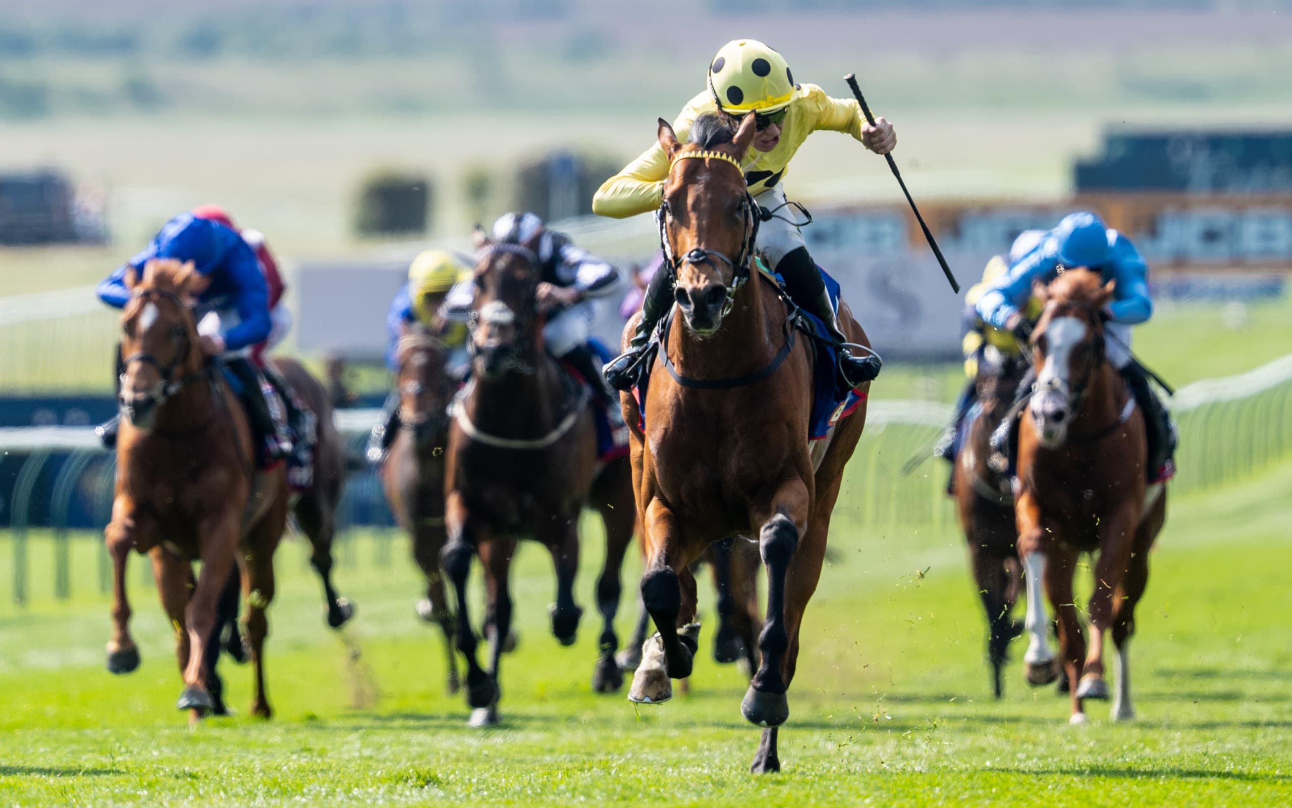 Horses racing towards the line