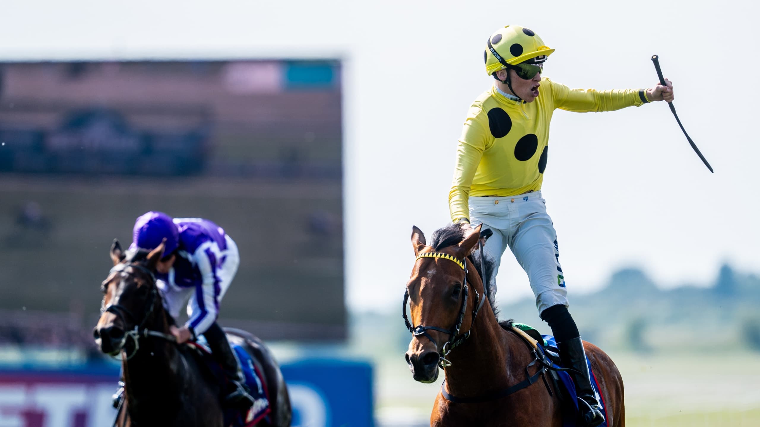A jockey in the yellow and black silks