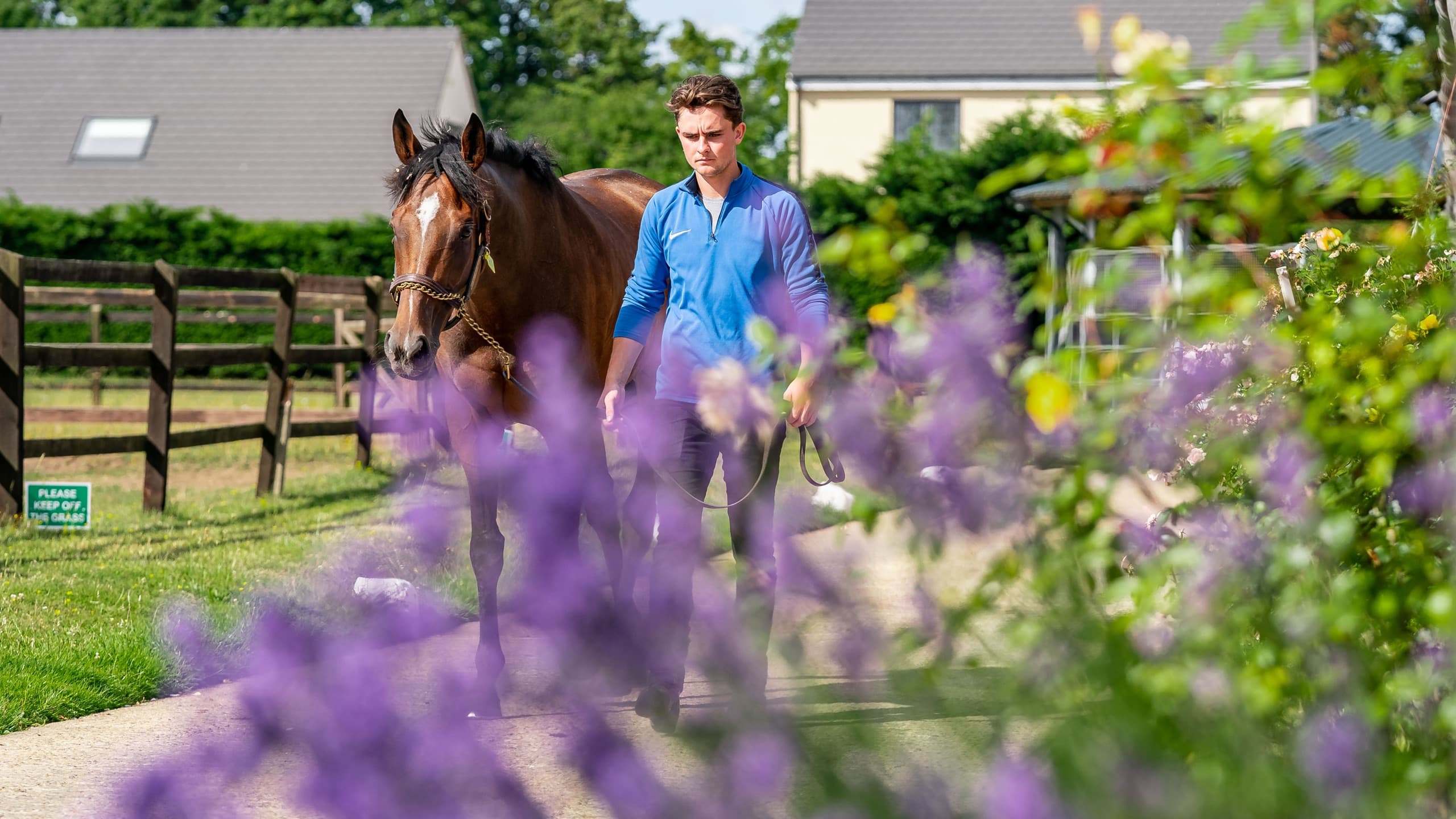 The yard at Craven House Stables