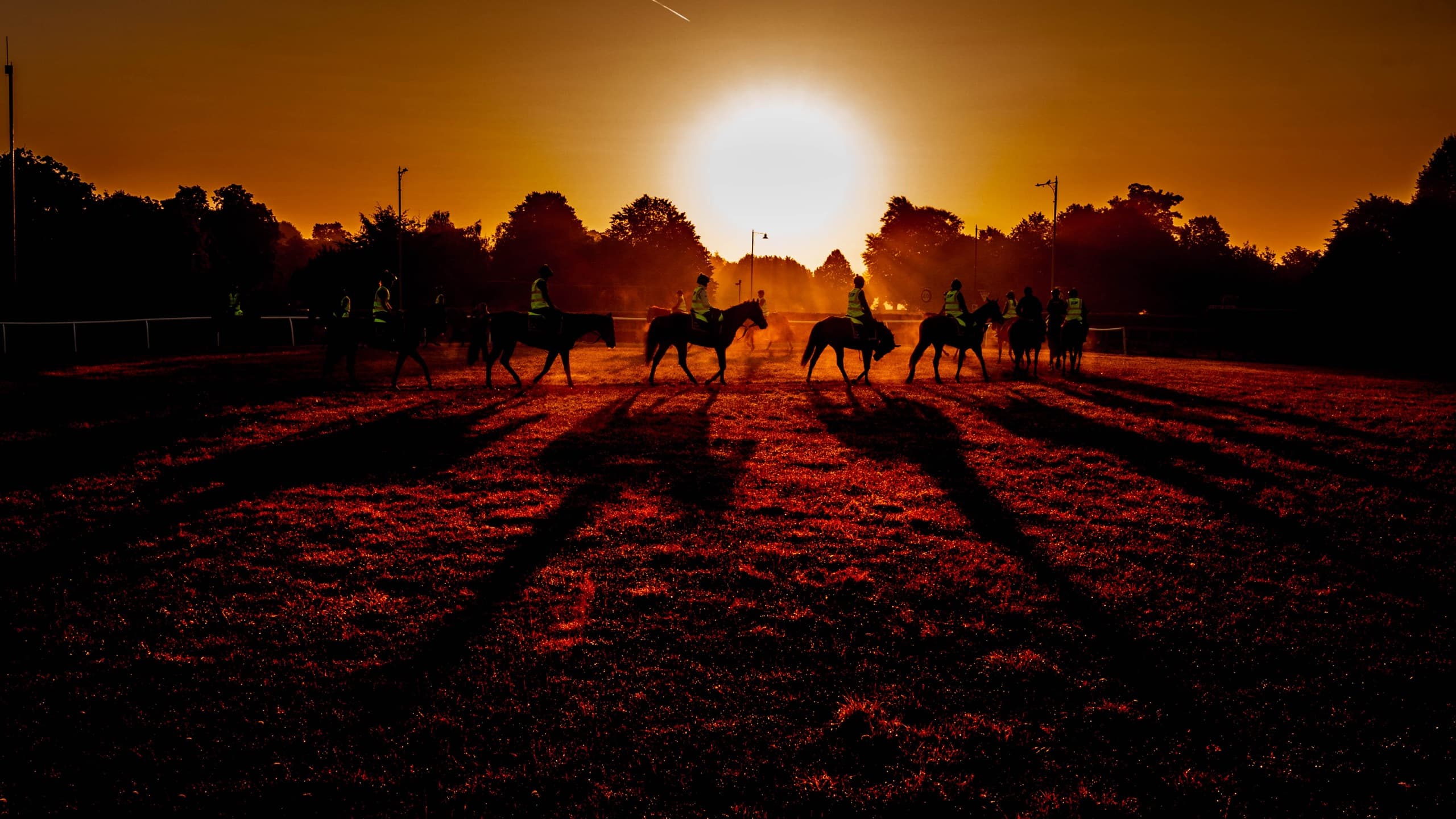 A string of horses silhouetted against a low sun