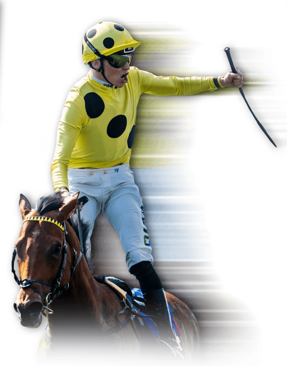 Jockey in yellow and black silks saluting the crowd after winning