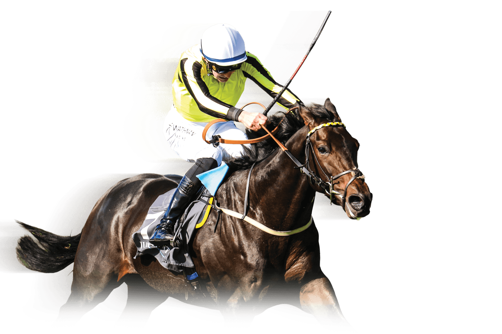 Jockey driving a bay horse towards the finish line